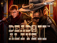 Dead or Alive 2 Feature Buy — особенности игры NetEnt