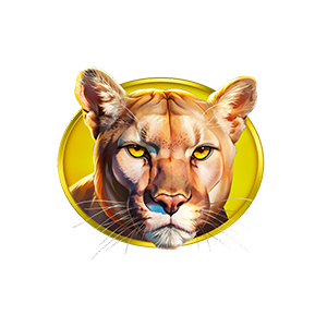 SYMBOL 03