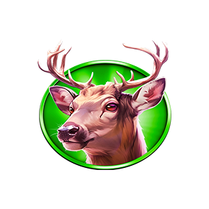 SYMBOL 05