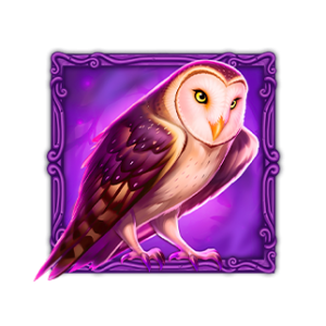 SYMBOL 06