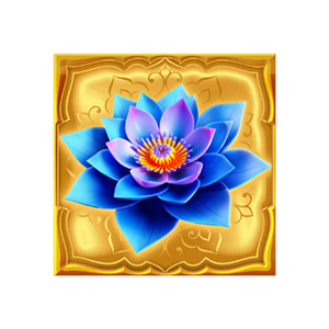 SYMBOL 13