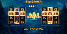 Big Brown — особенности игры Endorphina