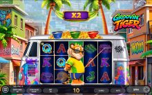 Groovin Tiger — особенности игры Endorphina